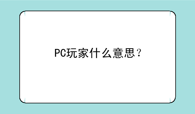 PC玩家什么意思？