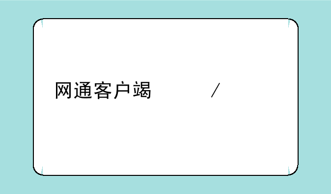 网通客户端下载ip
