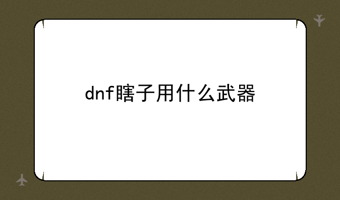 dnf瞎子用什么武器