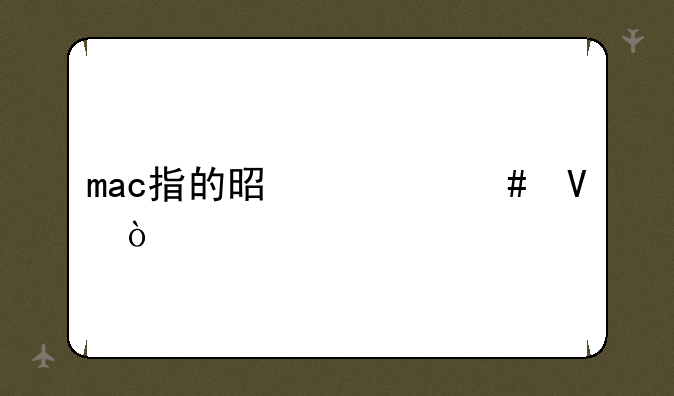 mac指的是什么啊？