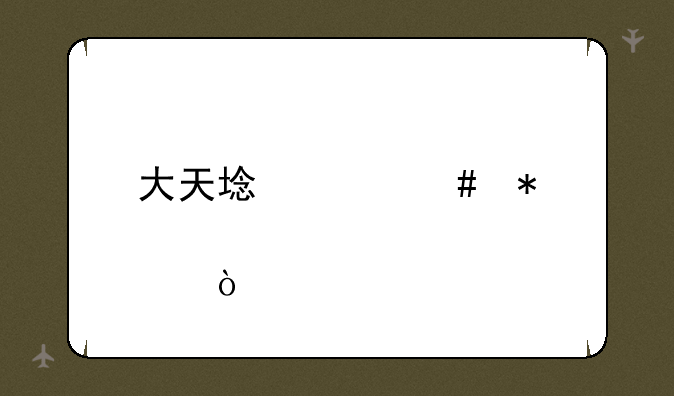 大天域奶妈加点？