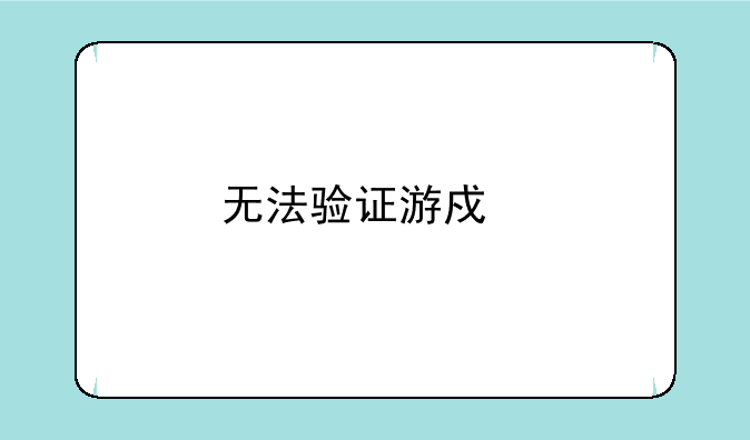 无法验证游戏版本