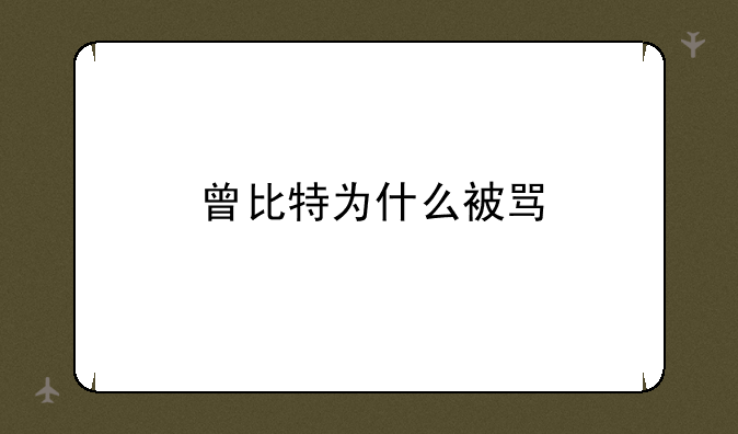 曾比特为什么被骂