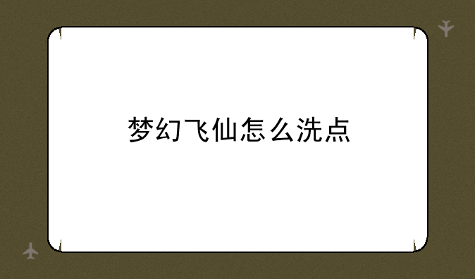 梦幻飞仙怎么洗点