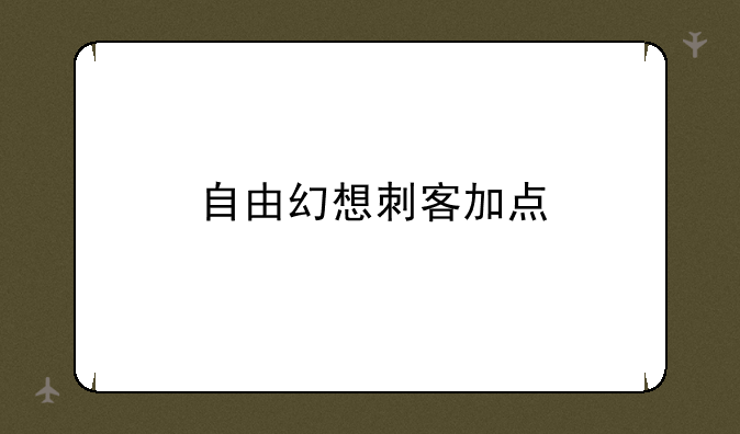自由幻想刺客加点