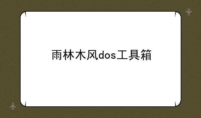 雨林木风dos工具箱