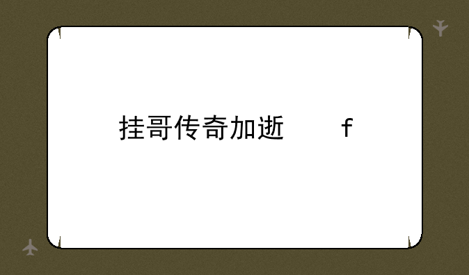 挂哥传奇加速器
