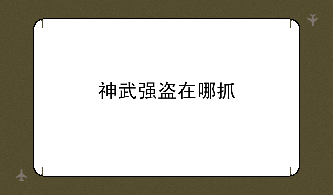 神武强盗在哪抓