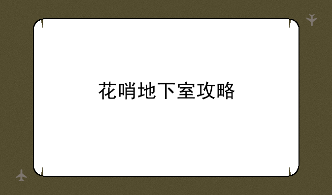 花哨地下室攻略
