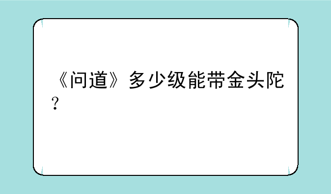 《问道》多少级能带金头陀？