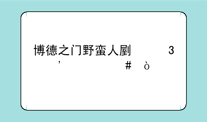 博德之门野蛮人副职选什么？