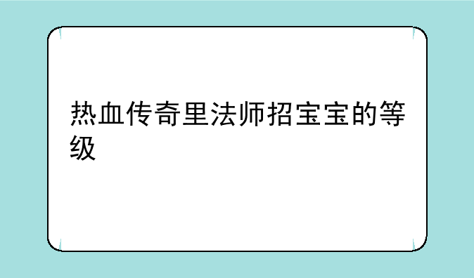 热血传奇里法师招宝宝的等级