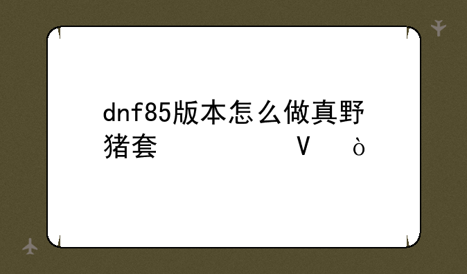 dnf85版本怎么做真野猪套快啊？