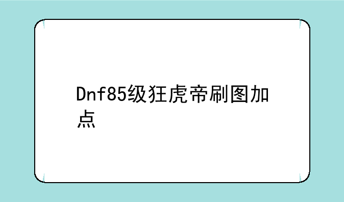 Dnf85级狂虎帝刷图加点