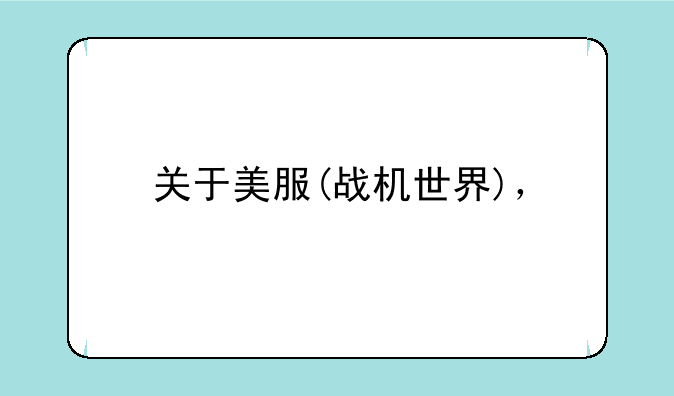 关于美服(战机世界)，
