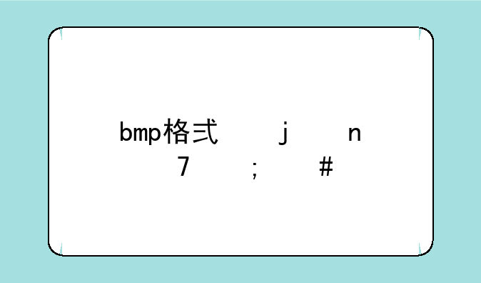 bmp格式的图种怎么打开？