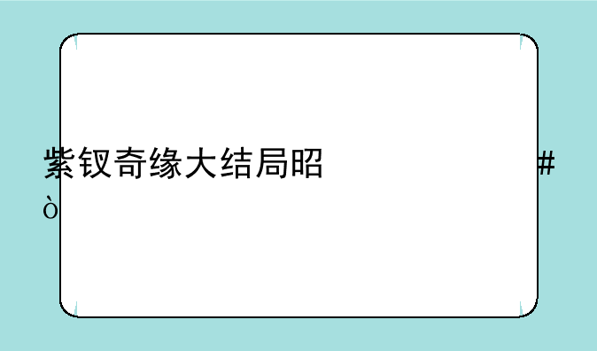 紫钗奇缘大结局是什么？