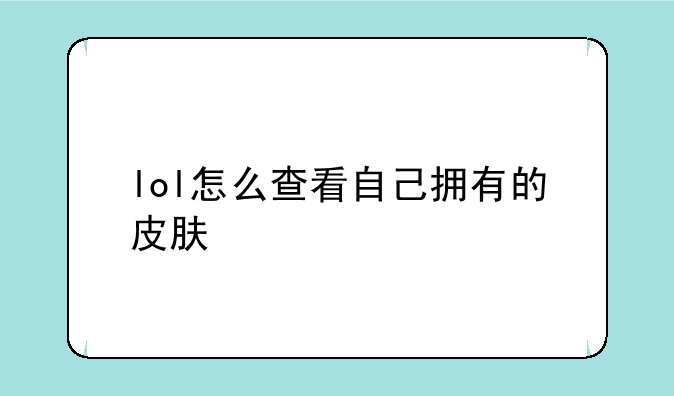 lol怎么查看自己拥有的皮肤