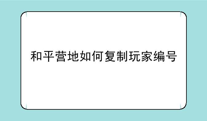和平营地如何复制玩家编号
