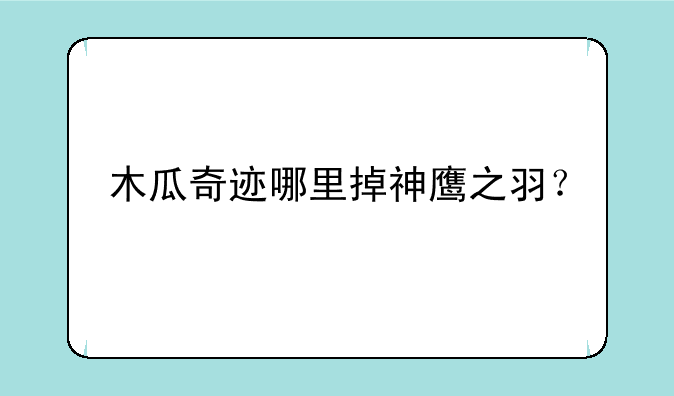 木瓜奇迹哪里掉神鹰之羽？