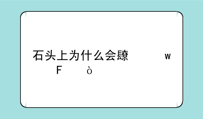 石头上为什么会长贝壳呢？