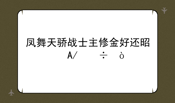 凤舞天骄战士主修金好还是火PK好？
