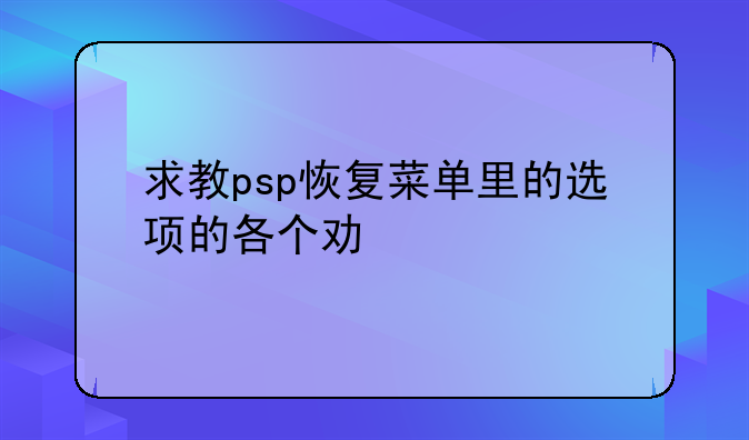 求教psp恢复菜单里的选项的各个功能