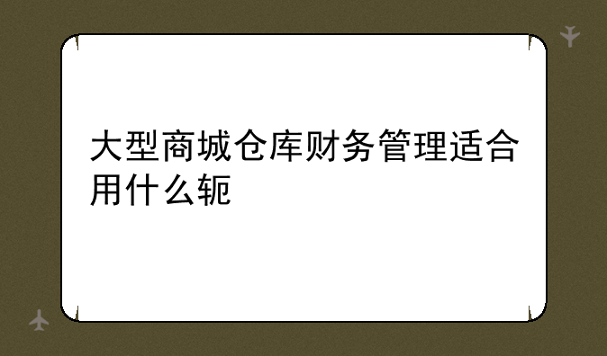 大型商城仓库财务管理适合用什么软件
