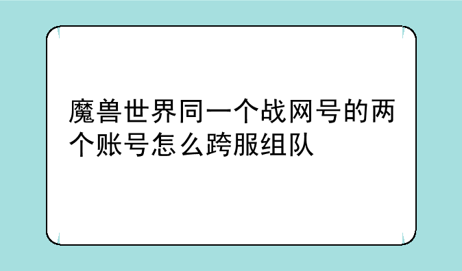 魔兽世界同一个战网号的两个账号怎么跨服组队