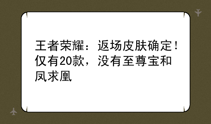 王者荣耀：返场皮肤确定！仅有20款，没有至尊宝和凤求凰