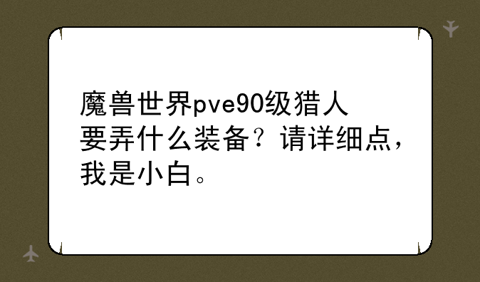 魔兽世界pve90级猎人要弄什么装备？请详细点，我是小白。