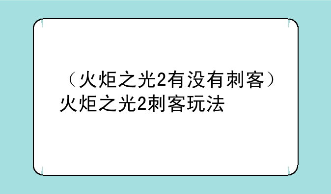 （火炬之光2有没有刺客）火炬之光2刺客玩法