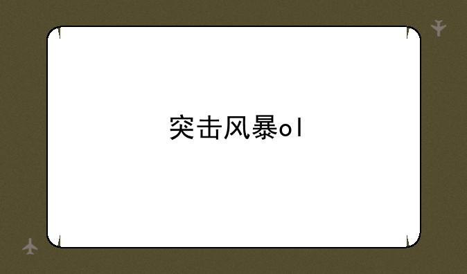 突击风暴ol