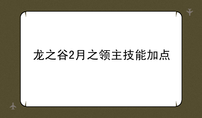 龙之谷2月之领主技能加点