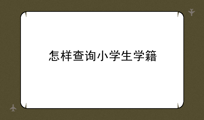 怎样查询小学生学籍